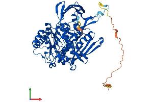 Protein Structure (PS) image for Inositol-3-Phosphate Synthase 1 (ISYNA1) (AA 1-557) protein (His tag) (ABIN7561521)