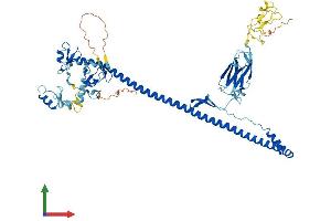 Protein Structure (PS) image for Tripartite Motif Containing 45 (TRIM45) (AA 1-580) protein (His tag) (ABIN7544680)
