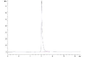 Size-exclusion chromatography-High Pressure Liquid Chromatography (SEC-HPLC) image for Integrin alpha V, Integrin beta 3 (ITGAV/ITGB3) (AA 31-992) protein (His-Avi Tag) (ABIN7275059)