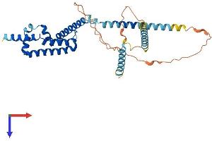 CCDC104 Protein (AA 1-343) (His tag)