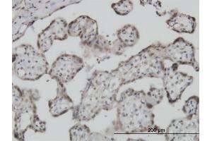 Immunoperoxidase of monoclonal antibody to S100A11 on formalin-fixed paraffin-embedded human placenta. (S100A11 Antikörper  (AA 1-105))