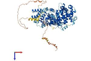 STRIP1 Protein (AA 1-837) (His tag)