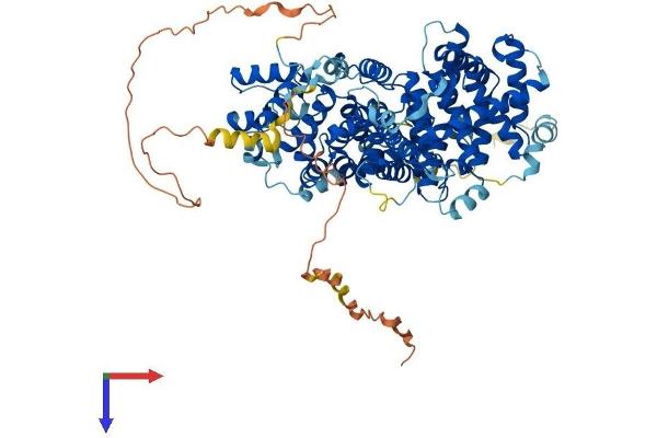 STRIP1 Protein (AA 1-837) (His tag)