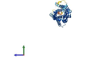 Protein Structure (PS) image for Formyl Peptide Receptor 2 (FPR2) (AA 1-351) protein (His tag) (ABIN7547780)