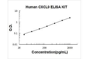 gamma-Interferon-Induced Monokine (CXCL9) ELISA Kit