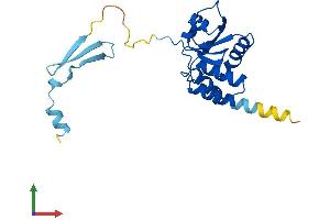 Protein Structure (PS) image for Dual Specificity Phosphatase 19 (DUSP19) (AA 1-217) protein (His tag) (ABIN7547195)