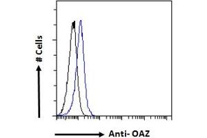ABIN308409 Flow cytometric analysis of paraformaldehyde fixed Kelly cells (blue line), permeabilized with 0. (Znf423 Antikörper  (N-Term))