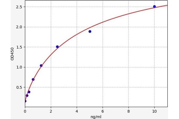 Coronin 1a ELISA Kit