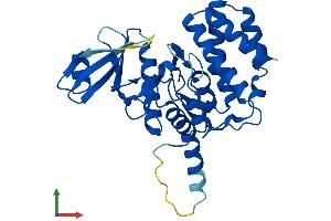 Protein Structure (PS) image for Fructosamine 3 Kinase Related Protein (FN3KRP) (AA 1-309) protein (His tag) (ABIN7548914)