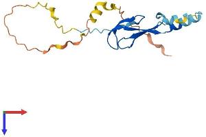 LITAF Protein (AA 1-161) (His tag)