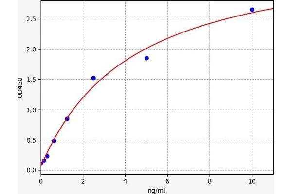 TUBA1B ELISA Kit