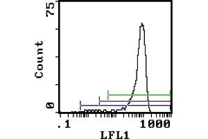 Rat anti Granulocytes (Gr-1 antigen) RB6-8C5 (Ly6g Antikörper)
