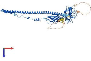 FSD1L Protein (AA 1-530) (His tag)