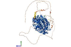 AlphaFold protein structure predicition of Mouse Recombinant Hdac6 Protein, UniprotID Q9Z2V5