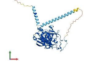 Protein Structure (PS) image for UDP-Gal:betaGlcNAc beta 1,4- Galactosyltransferase, Polypeptide 5 (B4GALT5) (AA 1-388) protein (His tag) (ABIN7552551)