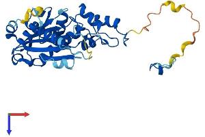 RNASEH2A Protein (AA 1-299) (His tag)