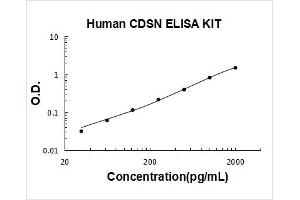 Typical Standard Curve