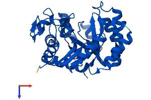 TATDN1 Protein (AA 1-295) (His tag)