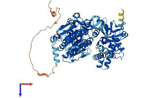 DHX33 Protein (AA 1-698) (His tag)
