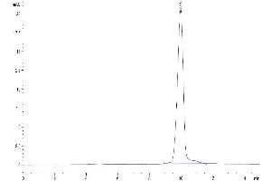 Size-exclusion chromatography-High Pressure Liquid Chromatography (SEC-HPLC) image for Interleukin 1, beta (IL1B) (AA 117-269) protein (His-Avi Tag) (ABIN7274882)