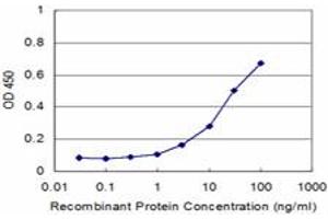 Detection limit for recombinant GST tagged PNMA2 is approximately 1ng/ml as a capture antibody. (PNMA2 Antikörper  (AA 1-364))
