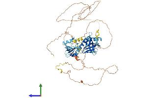 Protein Structure (PS) image for SHC (Src Homology 2 Domain Containing) Family, Member 4 (SHC4) (AA 1-626) protein (His tag) (ABIN7558104)