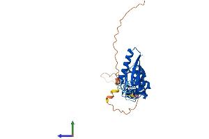 Protein Structure (PS) image for Potassium Channel Tetramerisation Domain Containing 7 (KCTD7) (AA 1-289) protein (His tag) (ABIN7558701)