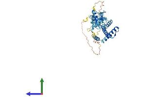 Protein Structure (PS) image for Ring Finger Protein 32 (RNF32) (AA 1-368) protein (His tag) (ABIN7561556)