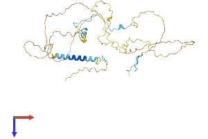 HABP4 Protein (AA 1-413) (His tag)