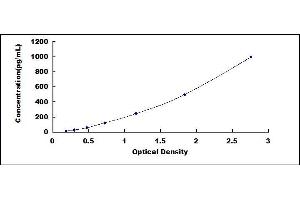 ELISA image for Vascular Endothelial Growth Factor A (VEGFA) ELISA Kit (ABIN4948123)