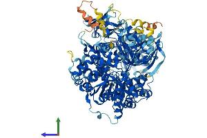 Protein Structure (PS) image for DNA Replication Helicase 2 Homolog (DNA2) (AA 1-1062) protein (His tag) (ABIN7564171)