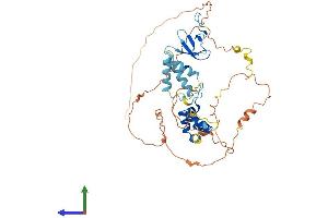 Protein Structure (PS) image for F-Box Protein 5 (FBXO5) (AA 1-447) protein (His tag) (ABIN7547675)