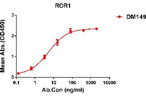 ELISA plate pre-coated by 1 μg/mL (100 μL/well) Human ROR1 protein, His tagged protein ((ABIN6964103, ABIN7042461 and ABIN7042462)) can bind Rabbit anti-ROR1 monoclonal antibody(clone: DM149) in a linear range of 1-50 ng/mL. (ROR1 Antikörper  (AA 30-403))