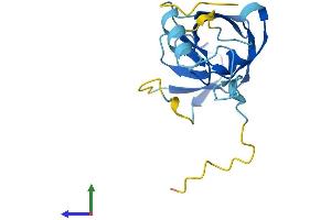 Protein Structure (PS) image for Endogenous Retrovirus Group K, Member 25 (ERVK-25) (AA 1-156) protein (His tag) (ABIN7545161)