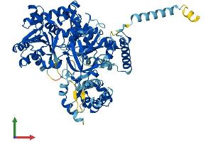Protein Structure (PS) image for Acyl-CoA Synthetase Long-Chain Family Member 5 (ACSL5) (AA 1-683) protein (His tag) (ABIN7551877)
