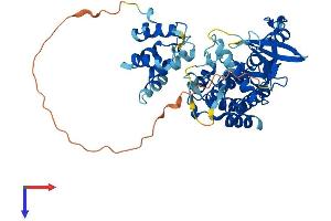 IRAK4 Protein (AA 1-460) (His tag)