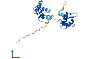 Protein Structure (PS) image for Myosin, Light Chain 12A, Regulatory, Non-Sarcomeric (MYL12A) (AA 1-171) protein (His tag) (ABIN7549440)
