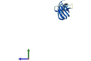 Protein Structure (PS) image for Tumor Necrosis Factor (Ligand) Superfamily, Member 4 (TNFSF4) (AA 1-183) protein (His tag) (ABIN7544465)