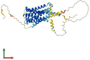 AlphaFold protein structure predicition of Human Recombinant PTGER1 Protein, UniprotID P34995 (PTGER1 Protein (AA 1-402) (His tag))