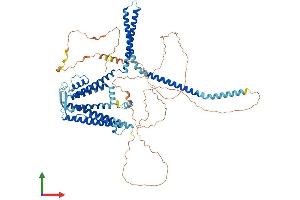 AlphaFold protein structure predicition of Mouse Recombinant Kcnn3 Protein, UniprotID P58391