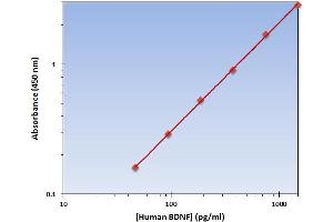 This is an example of what a typical standard curve will look like. (BDNF ELISA Kit)