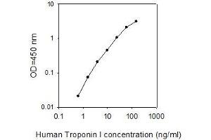 Troponin I ELISA Kit