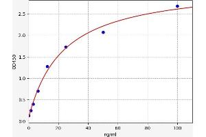 REG4 ELISA Kit