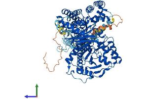 Protein Structure (PS) image for Carnitine Palmitoyltransferase 1C (CPT1C) (AA 1-798) protein (His tag) (ABIN7558544)