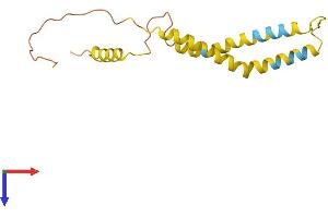 OCIAD2 Protein (AA 1-154) (His tag)