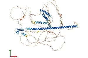 Protein Structure (PS) image for PHD Finger Protein 21A (PHF21A) (AA 1-680) protein (His tag) (ABIN7554949)