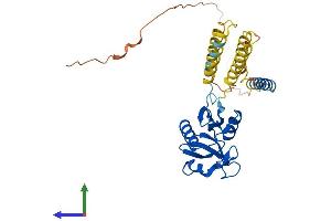 Protein Structure (PS) image for CD209b Antigen (CD209B) (AA 1-325) protein (His tag) (ABIN7559389)