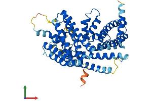 Protein Structure (PS) image for Membrane Bound O-Acyltransferase Domain Containing 4 (MBOAT4) (AA 1-435) protein (His tag) (ABIN7562801)