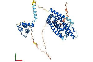Protein Structure (PS) image for Nuclear Receptor Subfamily 1, Group H, Member 3 (NR1H3) (AA 1-447) protein (His tag) (ABIN7554777)