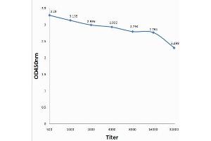 Antigen: 0. (F2RL3 Antikörper  (AA 320-343))